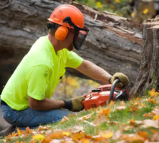 tree services Duquesne